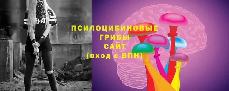 Галлюциногенные грибы Psilocybine cubensis  купить закладку  Дубовка 